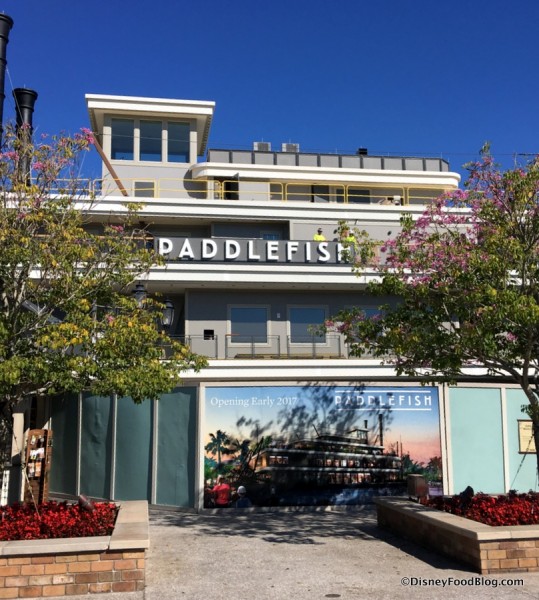 Paddlefish... Opening Soon!
