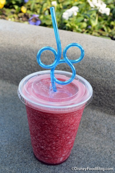 Raspberry Smoothie from Auntie Gravity's