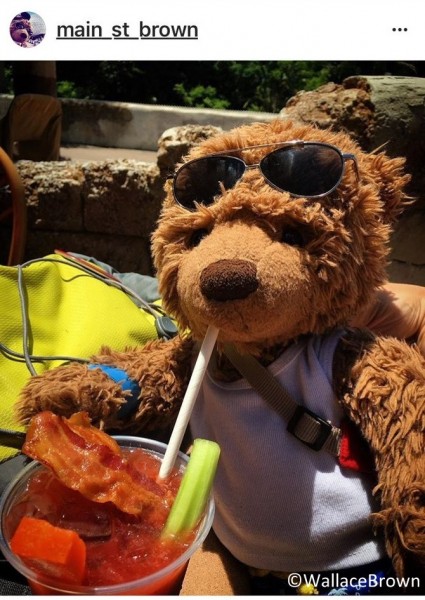 dawabar_animalkingdom_2017