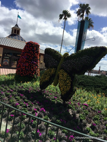 Butterfly at Flower and Garden Festival