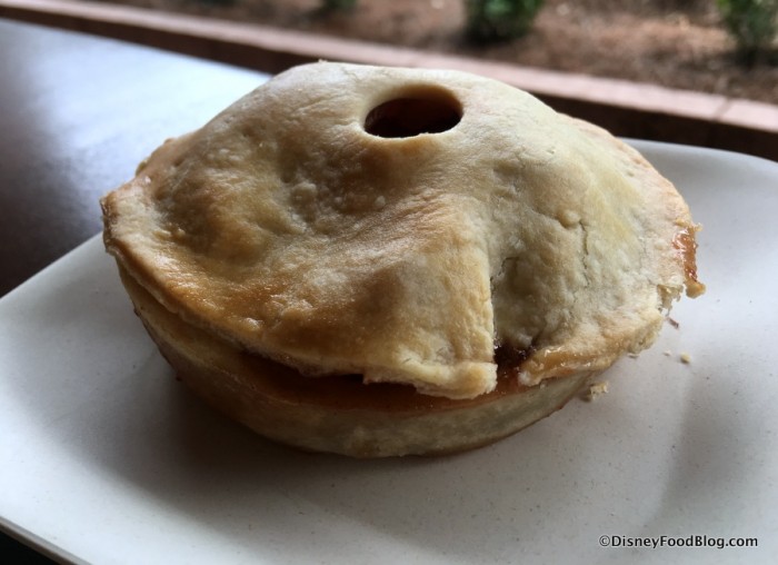 Seasonal Dried Cranberry and Apple Pie