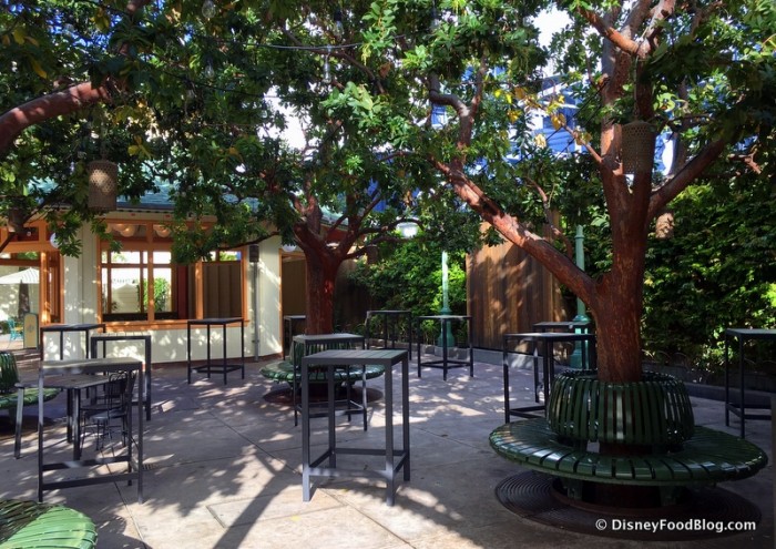 Disney California Adventure Food and Wine Festival 17_-009 Festival Beer Garden