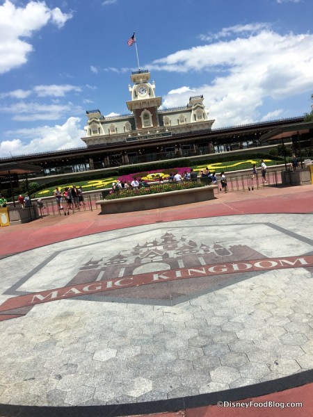 Magic Kingdom Entrance Area