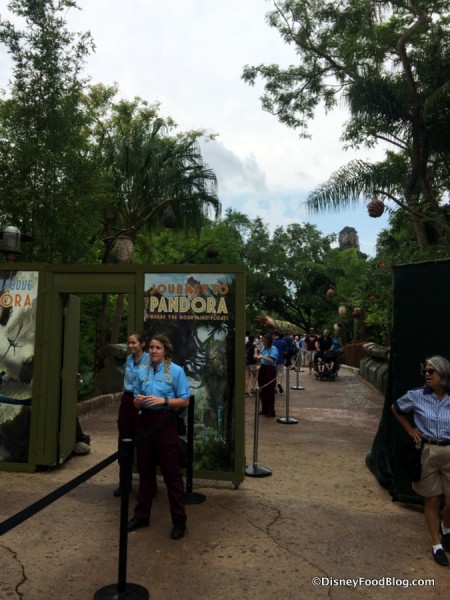 Entering into the Preview