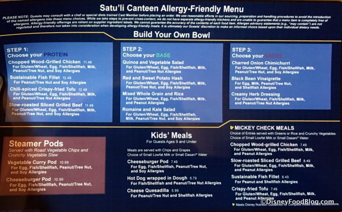 Allergy-friendly Lunch and Dinner Menu