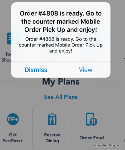 Mobile Order Screenshot