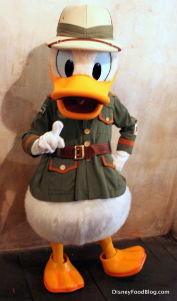 Donald Duck