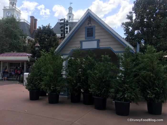 Continued Preparations