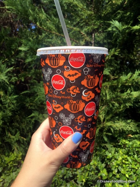 Fall in Magic Kingdom