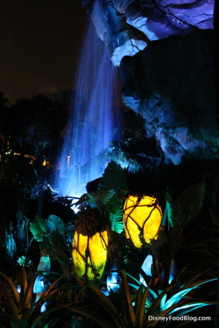 Pandora at Night