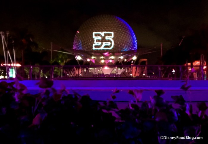 Epcot 35