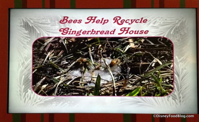 Gingerbread House Presentation