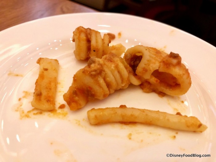 Pasta noodles in the Lasagna