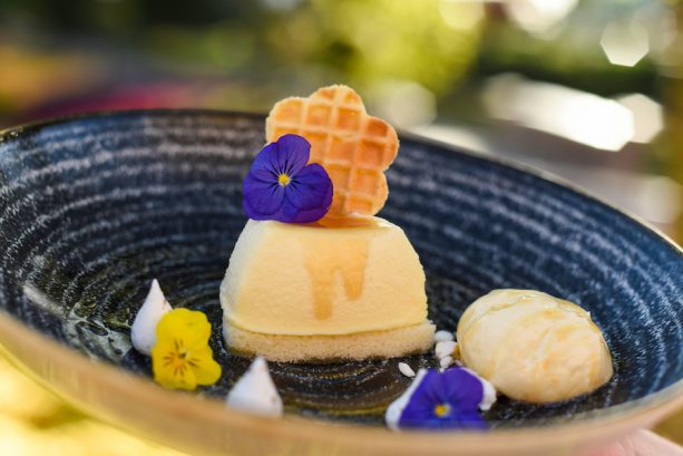 Local Wildflower Honey-Mascarpone Cheesecake with Orange Blossom Honey Ice Cream garnished with Fennel Pollen Meringue Kisses ©Disney