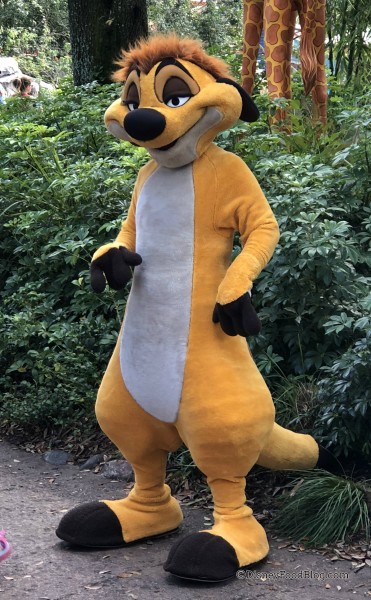 Timon at Animal Kingdom