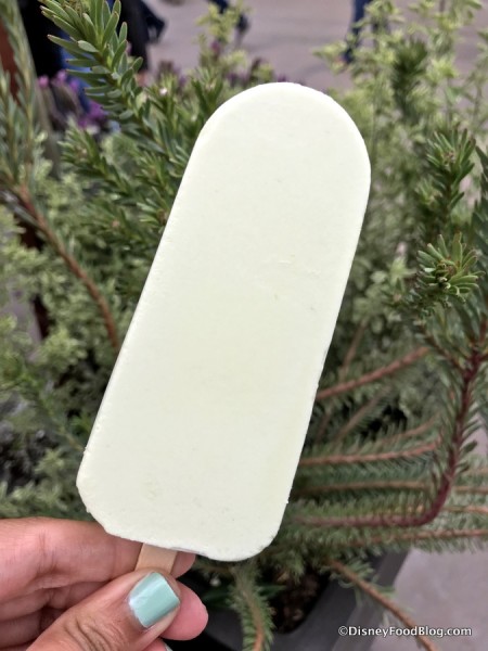 Avocado Ice Cream Bar