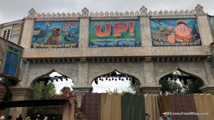 Up! A Great Bird Adventure!