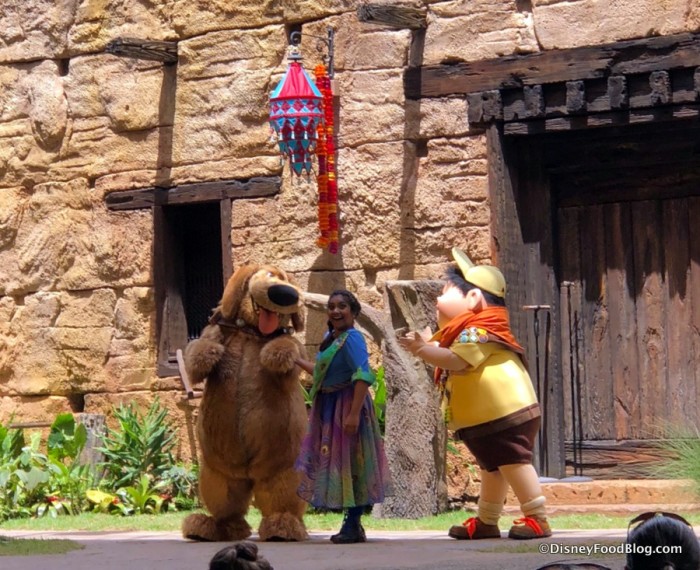 Up! A Great Bird Adventure