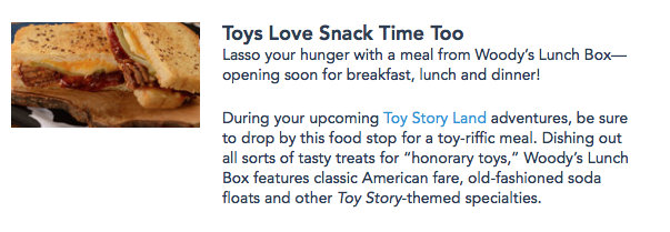 Screenshot of Disney World website