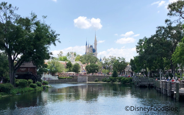 Cinderella Castle Views