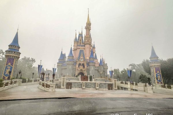 A Step-by-Step Guide to Hurricane Cancellation Policies and Refunds in Disney World