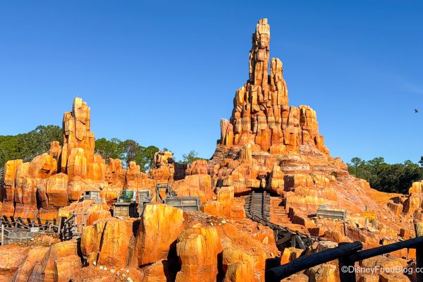 Disney Pros Know: These 3 Magic Kingdom Rides Have “Good” and “Bad” Seats