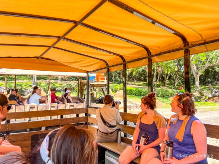 inside the safari truck