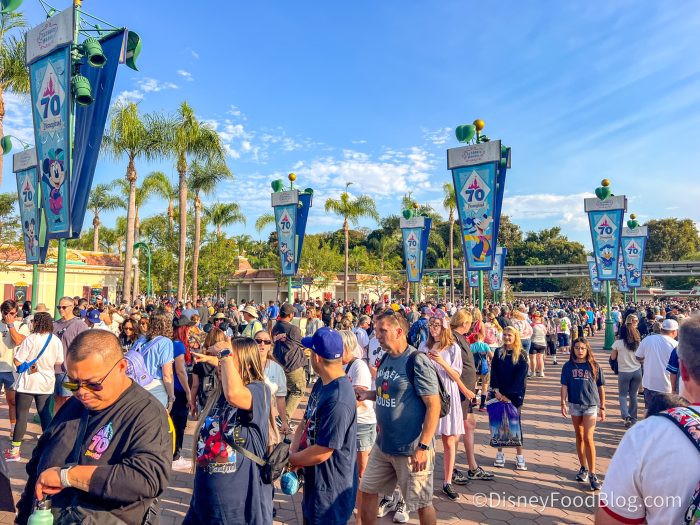 large crowds of people