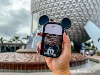 Hand sanitizer for trips to Disney
