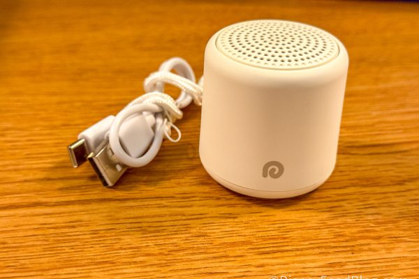 What Is the Dreamegg and Why Is Everyone Buying It For Disney World?