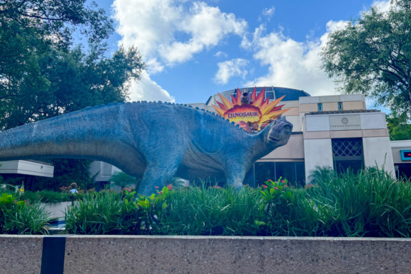 PHOTOS: Disney Just Demolished an Iconic Part of Animal Kingdom