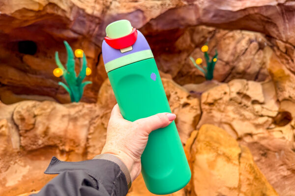 The Amazon Disney Finds We’d Instantly Buy Again